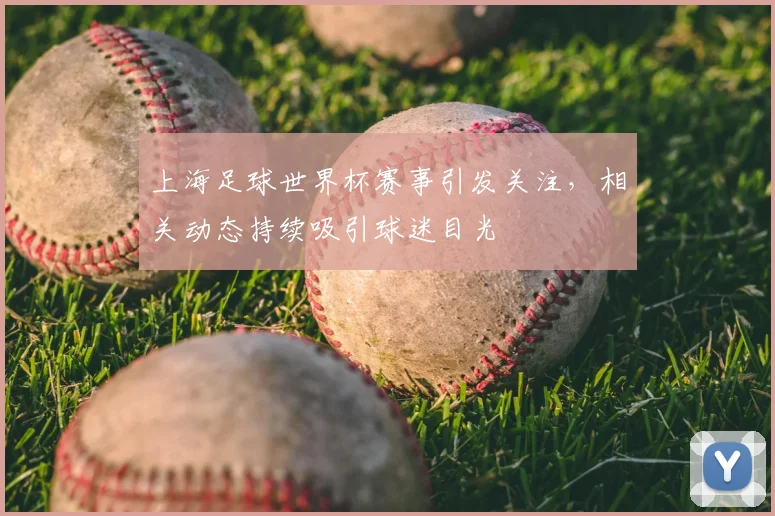 上海足球世界杯赛事引发关注,相关动态持续吸引球迷目光