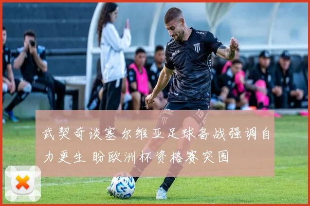 武契奇谈塞尔维亚足球备战强调自力更生 盼欧洲杯资格赛突围